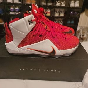 NIKE LEBRON 12